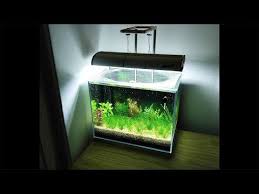 9 Setting Up No Filter No Co2 No Ferts 5 Gallon Nano Tank Youtube Nano Tank Fish Tank Planted Aquarium