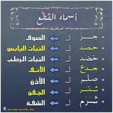 أسماء الق ط ع في اللغة العربية learning arabic learn arabic language arabic language