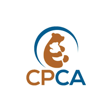 The Center for the Prevention of Child Abuse | Poughkeepsie NY