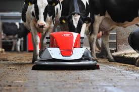 Beef cattle farming sheep farming mixed farming feedlots processing wholesaling retailing. Barn Cleaner Barn Hygiene Slatted Floors Discovery Lely