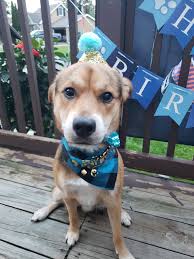 Today's birthday celebration 🌺✨🎂 David Malone (1842-1914)