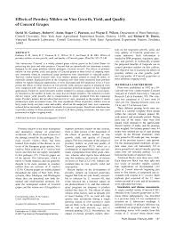 The disease can infect all green tissue of the plant including leaves, young stems, flowers and young developing berries (figure 1). Pdf Effects Of Powdery Mildew On Vine Growth Yield And Quality Of Concord Grapes