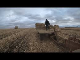 We did not find results for: Baling Some Small Square Corn Stalk Bales Youtube