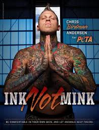 Birdman Nba Net Worth 9 Miami Heat S Chris Birdman Andersen Chris Ersen Peta Chris Erson