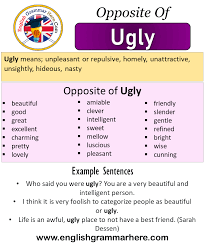 Check spelling or type a new query. Opposite Of Ugly Antonyms Of Ugly Meaning And Example Sentences English Grammar Here