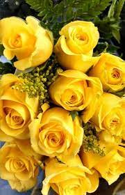 We did not find results for: Say It With A Rose Choosing The Right Rose Color Cheers And Confetti Blog By Eventective Beautiful Rose Flowers Yellow Roses Beautiful Flowers
