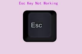 Escape/Esc Key Not Working On Mac (9 Reasons + Fixes)