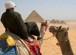 Try a horse or a camel riding at giza pyramids for 2 hours during the sun rise or sun set. Pin On Business Vector Cards