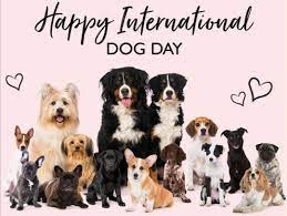 Insightful events that you can tune in to from the. Stanwells Pet Grooming And Emporium Happy International Dog Day 2020 Be Sure To Give Your Dogs Extra Fuss And Treats Today Our Lot Have Already Had An Extra Treat Or