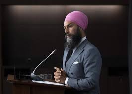 Nouveau parti démocratique, npd) is a social democratic federal political party in canada. Ndp Convention Targets Inequality As Contentious Planks Threaten To Steal Spotlight Canada News Castanet Net
