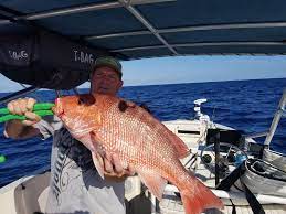 Deep Sea Fishing New Smyrna Near Orlando Florida New Smyrna Fla