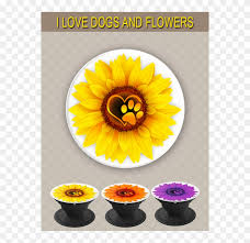 Popsockets are fashionable accessories that help transform your mobile devices. Super Cute Pop Socket For Girls That Love Flowers And Sunflower Clipart 1111878 Pikpng