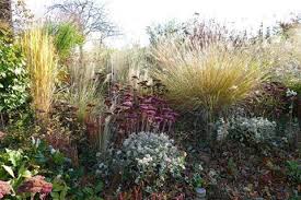 Photo De Jardin Du Mesnil Gaillard Photo Jardin Jardins Jardinage