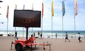 Six Cases Linked To Avalon Coronavirus Cluster And One Under Investigation As It Happened Australia News The Guardian