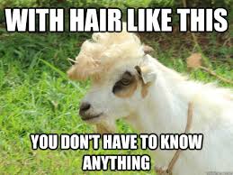 Funny Goat Memes