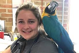 Curbside and Front Lines