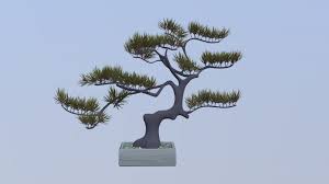The pine bonsai set (known as the bonsai set in animal crossing) is a furniture set in the animal crossing series that was introduced in doubutsu no mori, and consists of three bonsai trees. Pine Bonsai Tree Buy Royalty Free 3d Model By Lannoo Niels Lannoo Niels 526fa2b