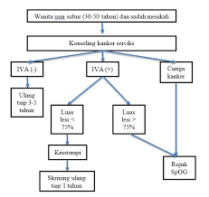 Maybe you would like to learn more about one of these? Tes Hpv Dna Lebih Direkomendasikan Untuk Skrining Kanker Serviks Alomedika