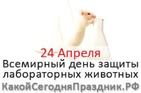 Праздник всегда выпадает в период великого поста, поэтому гуляния запрещены, праздник отмечается в кругу семьи. Vsemirnyj Den Zashity Laboratornyh Zhivotnyh World Day For Laboratory Animals 24 Aprelya Kakoj Segodnya Prazdnik Rf