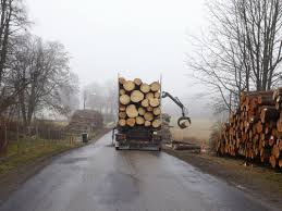 Jul 16, 2021 · lumber may be either rough sawn or finished, the latter being the most common form, available in various softwoods such as pine lumber, fir lumber, and spruce lumber. Where To Find Wood Logs For Sale