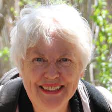 Dawn Zintel Fine Art