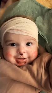 rip Ellie 🕊️🩷@ellianarose6