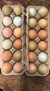 Hello all! My name is Brandon, I just moved to Derby in January with my  four kiddos and I want to be your Garage door Specialist! I've completed  weeks of in-depth training