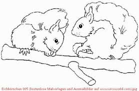 Eichhornchen 005 Kostenlose Malvorlagen Und Ausmalbilder Auf Www Wicoworld Com Malvorlagen Kostenlose Malvorlagen Ausmalbilder