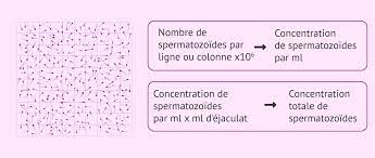Jul 08, 2020 · combien de temps spermatozoide rencontre ovule au bout de combien de temps le spermatozoide rencontre l'ovule. Quel Est Le Nombre De Spermatozoides Necessaire Pour Tomber Enceinte