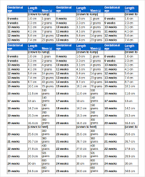 Detailed Baby Growth Chart Template Baby Growth Plan Chart