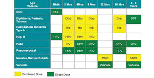 32 Detailed Vaccination Chart For Infants In Pakistan