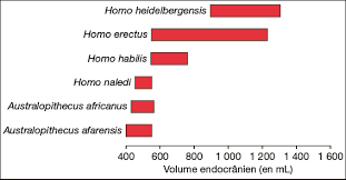 We did not find results for: Une Nouvelle Espece D Hominide L Homo Naledi Annales Corrigees Annabac