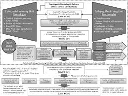 Possible causes, signs and symptoms, standard treatment options and means of care and support. Psychogenic Nonepileptic Seizures In Children Prospective Validation Of A Clinical Care Pathway Risk Factors For Treatment Outcome Epilepsy Behavior