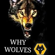 Willian josé's first goal for wolves consigned blades to relegation from the premier league. Why Wolves Fc Whywolvesfc Tvitter