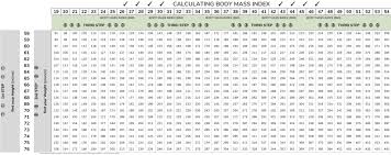 Bmi Chart My Bariatric Plan