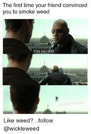 Smoking weed together makes couples fight less; The First Time Your Friend Convinced You To Smoke Weed Free Your Mind Like Weed Follow Meme On Ballmemes Com