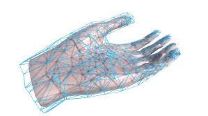 A regional atlas of the human body is sobotta, j. Biofields In Virtual Reality Devpost