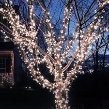 Outdoor Lighting Strings Wayfair
