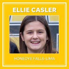 AGR: All-Greater Rochester Softball 2023 Team