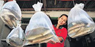 Seminggu tak makan toman jumbo diberi makan bawal jumbo 7 jari. Kala Beragam Rasa Bersenyawa Halaman All Kompas Com
