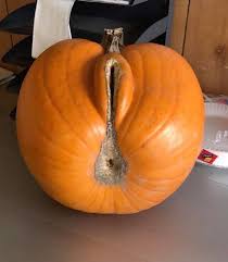 Getting into the holiday spirit, eh? : rdontputyourdickinthat