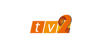 Tv 2 frekansları üzerinden isim değişikliğine gidilerek teve2 kanalı günümüzde yayıncılık faaliyetlerine devam etmektedir. Rtm Tv2 Logo Image Download Logo Logowiki Net