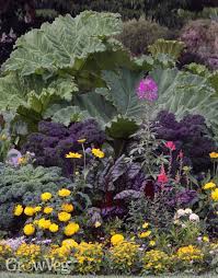 Flowers for vegetable garden uk. 5 Must Grow Edibles For The Flower Garden