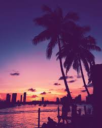 But it's the amazing views from the bay that truly do the talking, with spectacular shots of miami beach, star island, mansions, yachts, cruise ships, and downtown skyline. Miami At Sunset By Richardguaty Beautiful Beaches Paradise Winter Landscape Sunset