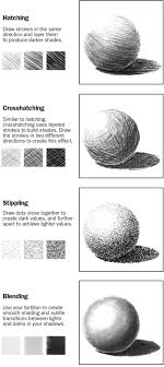 Advanced Graphite Pencil Proud Tiger Pencil Drawing Pictures Drawing Techniques Basic Drawing