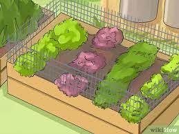 We did not find results for: How To Make A Small Vegetable Garden With Pictures Wikihow