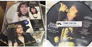 I Think I Love You David Cassidy Book Cover My Love
