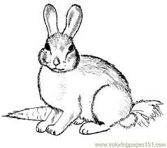 This is a creative way to teach the alphabets, using videos and coloring pages and make learning a fun experience. Pin By Sherrill Hunter Woody On Animals Bunny Coloring Pages Animal Coloring Pages Mandala Coloring Pages