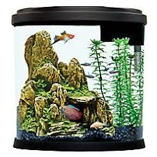 Top Fin 3 5 Gallon Enchant Aquarium Pet Spray Fish Tank Supplies Aquarium