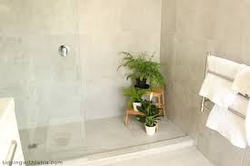 tile and gl shower with diy cleaners